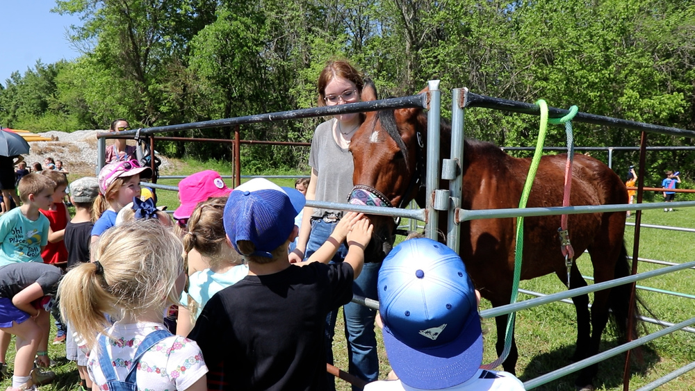 Children's Barnyard